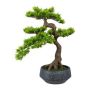 Künstlicher Baum Bonsai Zeder GHENY in Zementschale, 50cm