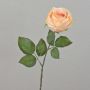 Künstliche Rose FINAKAS, aprikose, 65cm, Ø9cm