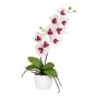 Textil Phalaenopsis Orchidee MORLEK, Keramiktopf, Wurzeln, weiß-lila, 60cm