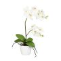 Textil Phalaenopsis Orchidee MORLEK, Keramiktopf, Wurzeln, creme, 60cm