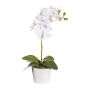Textil Phalaenopsis Orchidee TRALKE, Dekotopf, Wurzeln, weiß, 40cm