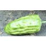 Künstliches Obst Kakaofrucht FORDIHAN, grün, 13cm