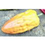 Künstliches Obst Kakaofrucht FORDIHAN, orange-gelb, 13cm