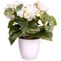 Kunstblume Begonie SYLINA, weißer Dekotopf, creme, 25cm