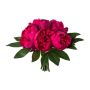 Künstlicher Blumenstrauß Pfingstrose SIRKO, cerise, 30cm