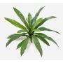 Künstlicher Asplenium JANE, grün, 40cm