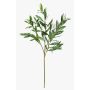 Künstlicher Olivenzweig BRANDAR, grün, 70cm