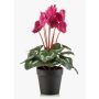 Alpenveilchen künstlich VERIANA im Dekotopf, pink, 30cm