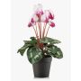 Alpenveilchen künstlich VERIANA im Dekotopf, weiß-pink, 30cm