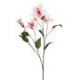 Kunstzweig Hibiskus TRUGEN mit Blüten, weiß-pink, 85cm