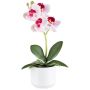 Kunst Phalaenopsis Orchidee WERKAN, Keramiktopf, Wurzeln, weiß-pink, 27cm