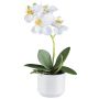 Kunst Phalaenopsis Orchidee WERKAN, Keramiktopf, Wurzeln, weiß, 27cm
