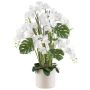 Blumengesteck Künstlich Orchidee Philodendron CASTOL, Bogenhanf Mikado, Dekotopf, weiß, 120cm
