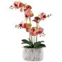 Textil Phalaenopsis Orchidee BLORVEN, Zementschale, Wurzeln, gelb-pink, 55cm
