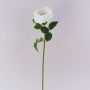 Künstliche Rose GINAKAL, creme-weiß, 65cm