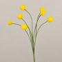 Kunst Craspedia Globosa STEPHANOS, gelb, 60cm, Ø2,5-3cm