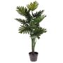 Dekobaum Philodendron selloum RIALTO, 100cm