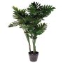 Dekobaum Philodendron selloum RIALTO, 105cm