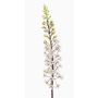 Künstliche Blume Steppenkerze SCHENRA, weiß-grün, 95cm