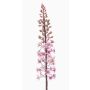 Künstliche Blume Steppenkerze SCHENRA, rosa, 95cm