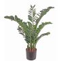 Deko Pflanze Zamioculcas JANGOLIE, 110cm
