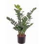 Deko Pflanze Zamioculcas JANGOLIE, 70cm