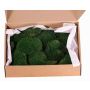 Echtes Flachmoos DIMITRA, grün, 800g, 0,15 m2