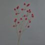 Plastik Edeldistel LOUKAS, rot, 70cm, Ø1-1,5cm