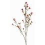Kunst Wachsblume NIANG, orange-rot, 80cm, Ø1,5-2,5cm