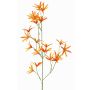 Deko Blumen Zweig Tweedia solanoides PALLAS, orange, 70cm, Ø5cm