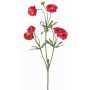 Samt Ranunkel YARIS, pink-grün, 65cm, Ø3-4,5cm