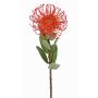Kunst Nadelkissen Protea BAILY, orange, 55cm, Ø10cm