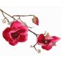 Dekozweig Magnolie KOSTAS, pink, 55cm, Ø6-8cm