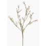 Dekozweig Kornblume ZENOBIOS, creme, 80cm, Ø3-4cm