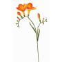 Deko Blume Freesie MARUSHA, orange, 70cm, Ø6cm
