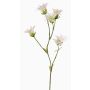 Kunstblume Japanische Nelke KASTALIA, creme, 65cm, Ø4-5cm