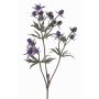 Dekozweig Edeldistel KALYPSO, dunkelviolett, 65cm, Ø3-4cm