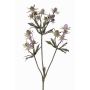 Dekozweig Edeldistel KALYPSO, lila, 65cm, Ø3-4cm