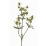 Dekozweig Edeldistel KALYPSO, grün, 65cm, Ø3-4cm