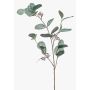 Deko Zweig Eukalyptus MAXEN mit Früchten, grün-grau, 75cm