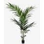 Kunstpalme Kentia Palme NESTA, 150cm