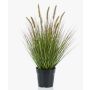 Kunstpflanze Gras Federborstengras YWAIN mit Rispen, beige-grün, 60cm