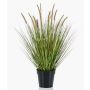 Kunstpflanze Gras Federborstengras YWAIN mit Rispen, beige-grün, 70cm