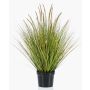 Kunstpflanze Gras Federborstengras YWAIN mit Rispen, beige-grün, 100cm