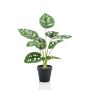 Kunstpflanze Philodendron Monstera adansonii VIRGA, 45cm