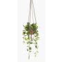 Dekopflanze Philodendron Scandens Hänger RUESCA, Terracotta Topf, 90cm