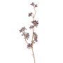 Eukalyptuszweig künstlich SOHA mit Früchten, braun, 60cm
