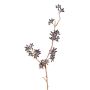 Eukalyptuszweig künstlich SOHA mit Früchten, dunkelbraun, 60cm
