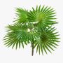 Künstliche Washingtonia Palme SCHEDIR auf Steckstab, 35cm