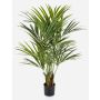 Kunst Kentia Palme OMAYRA, buschig, 140cm